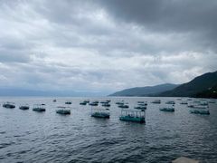 -抚仙湖禄充风景区