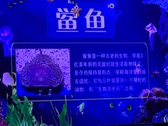 -白鹿仓冰雪海洋世界