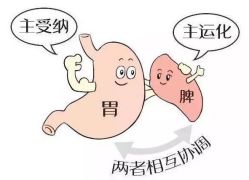 -程氏苗堂苗技养生