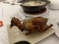 烧乳鸽-沙田新强记烧鹅海鲜酒家