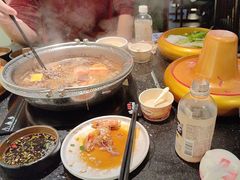 -牛New寿喜烧(新六百店)
