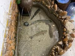 -369美食(清凉峡路店)