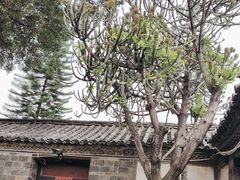 -朱家花园