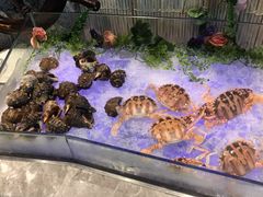 -瑞德姆美人鱼海底演艺主题餐厅(亚龙湾店)