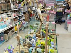 -三旗百汇商品城