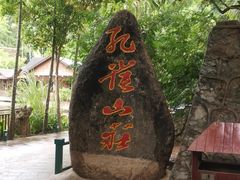 -西双版纳原始森林公园