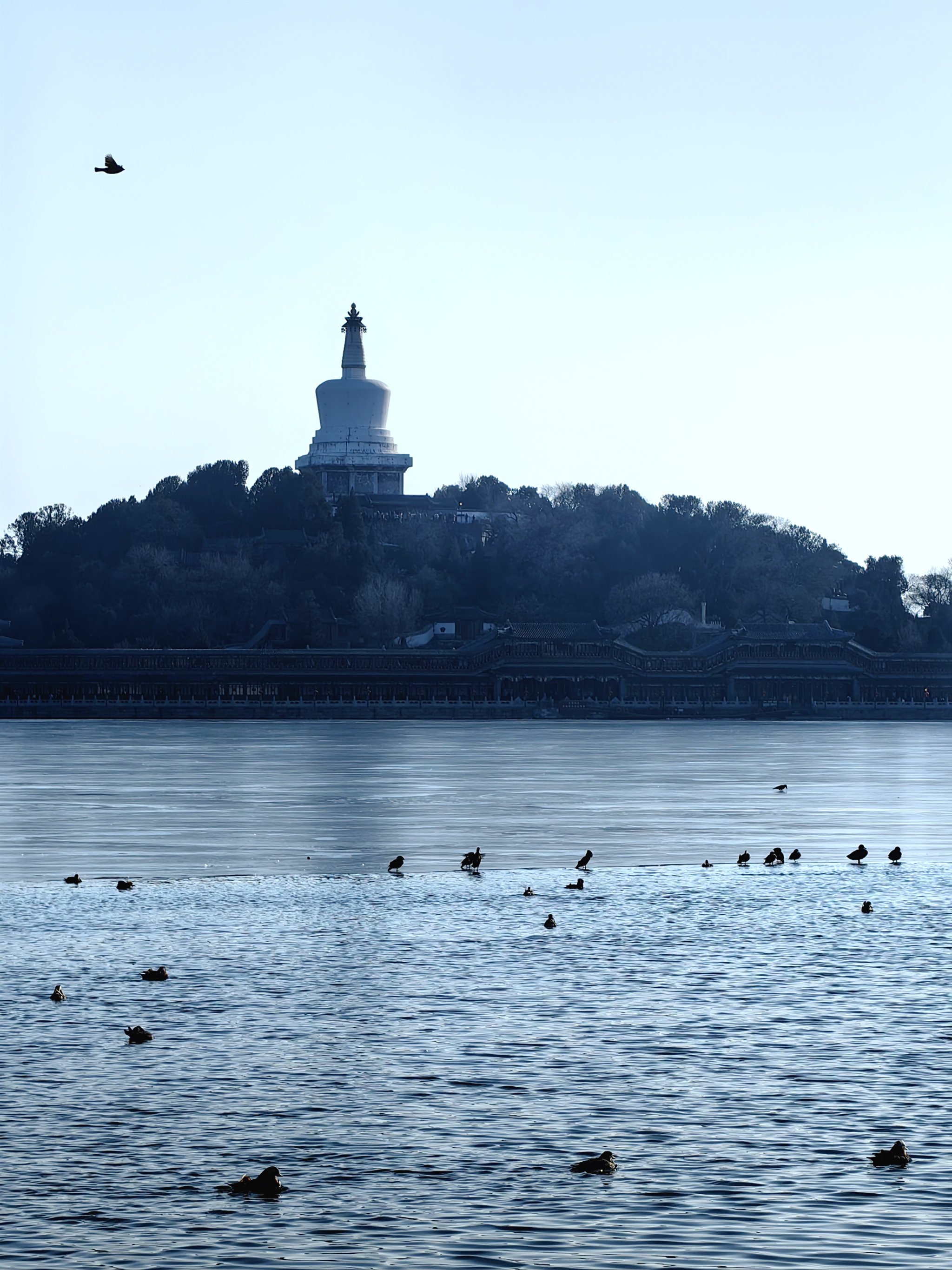 北海公园 真实照片图片