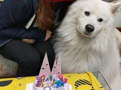 -CarolCake卡萝家(锦华万达店)