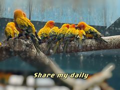 -济南野生动物世界