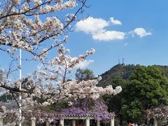 -贵阳市花溪国家城市湿地公园