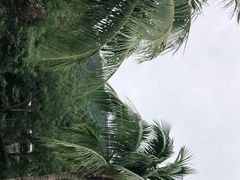 -三亚南山文化旅游区