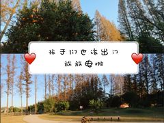 -前小桔亲子创意农场·草莓采摘·露营烧烤
