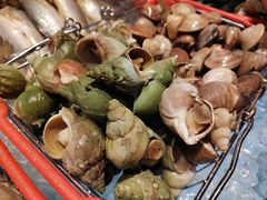 -马哥孛罗咖啡厅·Cafe Marco (厦门马哥孛罗东方大酒店)