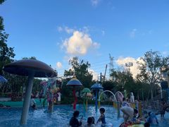 -苏州乐园森林水世界