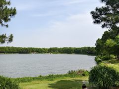 -美兰湖景区