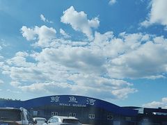 -蓬莱欧乐堡海洋极地世界