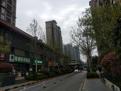 -金辉·天鹅湾