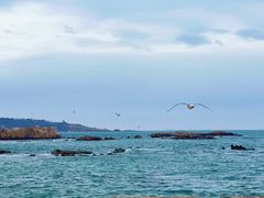 -青岛第二海水浴场