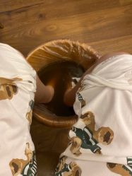 -馨月汇·独栋月子会所(静安店)