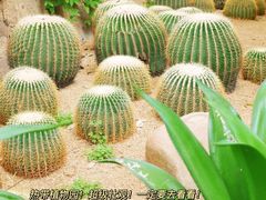 -祥源·阜阳生态乐园