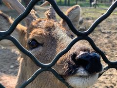 -宿豫区运河湾森林动物园