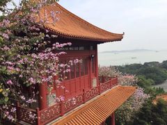 -南沙天后宫景区