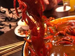-虾弄弄海派小龙虾·牛羊蝎子火锅