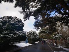 -北陵公园