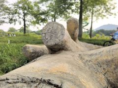 -顺峰山公园