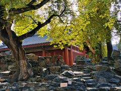 -北京艺术博物馆(万寿寺)