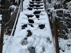 -武陵山森林公园