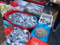 -芦潮港集贸市场