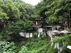 -南山植物园