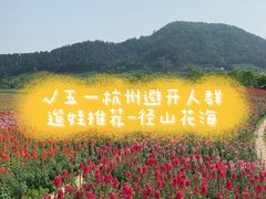 -径山花海