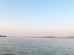 -瑶湖郊野森林公园