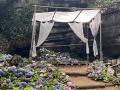 -梭布垭石林景区