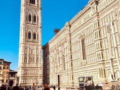 -圣母百花大教堂穹顶