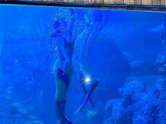 -左海海底世界