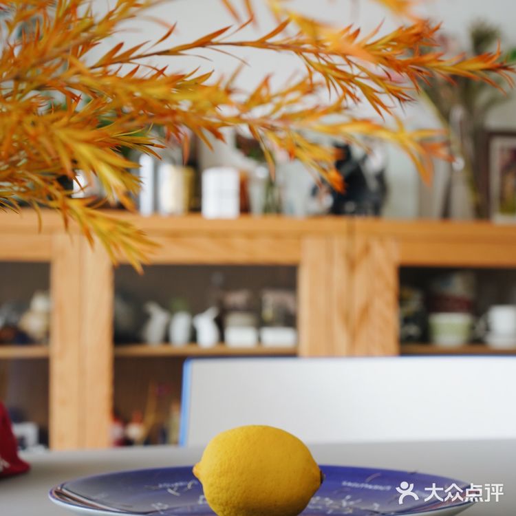 秋意浓｜30元一把的千层金，入手不亏的绿植