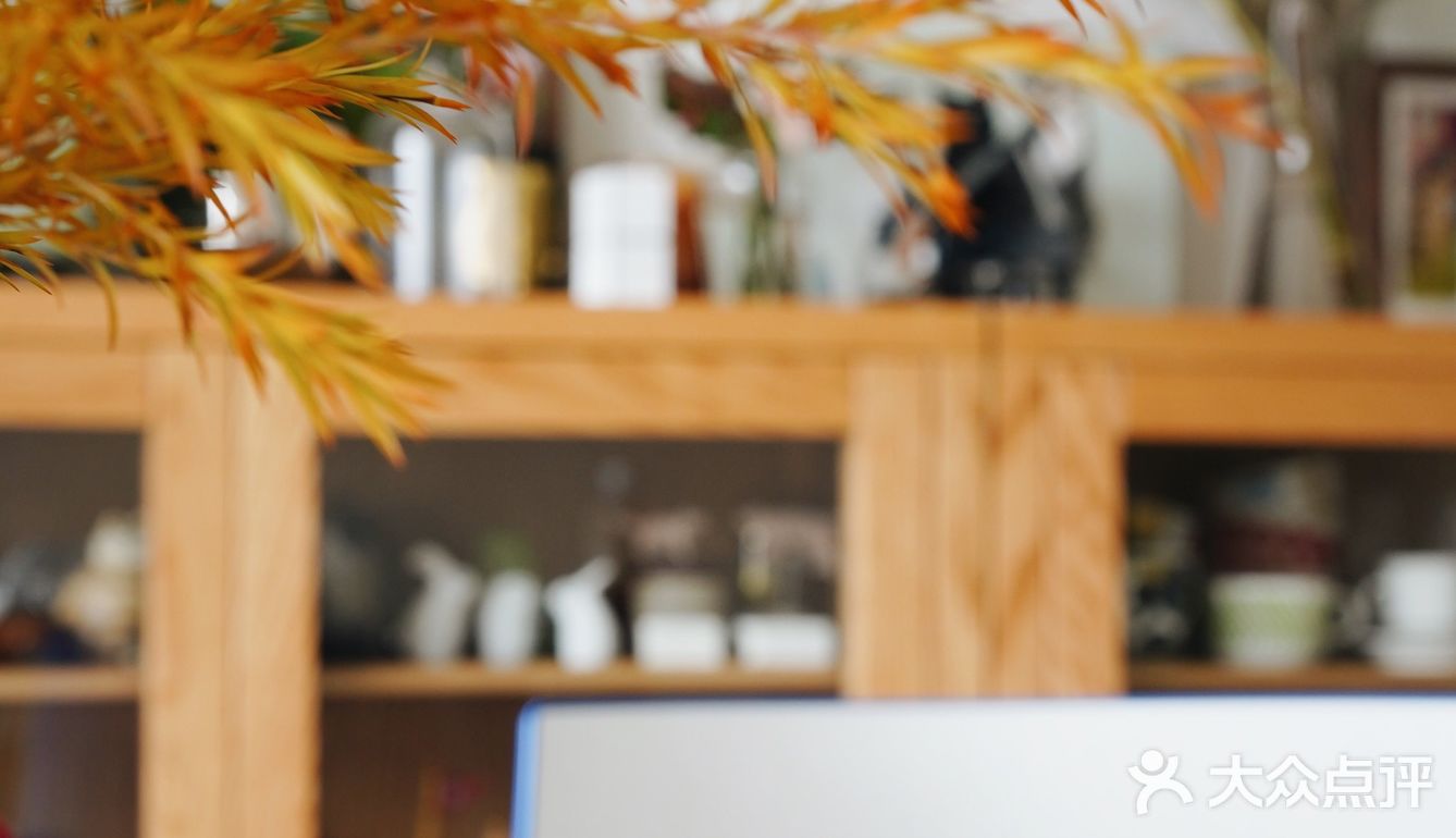 秋意浓｜30元一把的千层金，入手不亏的绿植