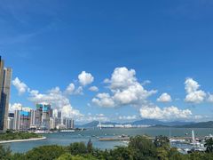 -希尔顿南海酒店·观廊大堂吧·海景下午茶