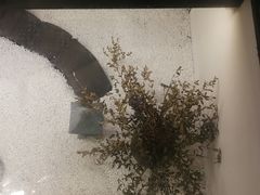 -顾乡私房菜(金沙天街店)
