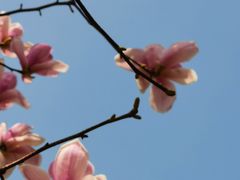 -后襄河公园