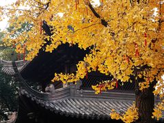 -钱王祠