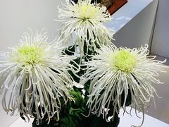 -汇龙潭