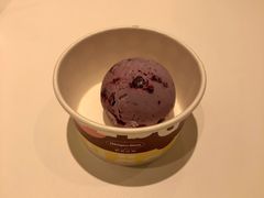蓝莓冰淇淋-哈根达斯(卓展店)
