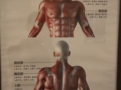 -健合堂中医养生·经络调理(天通苑旗舰店)