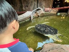 -长鹿旅游休博园