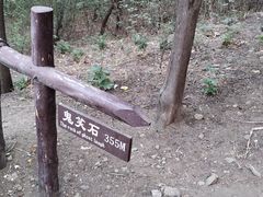 -鬼笑石后山停车场