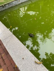 -莲生母婴月子中心(清水河公园店)